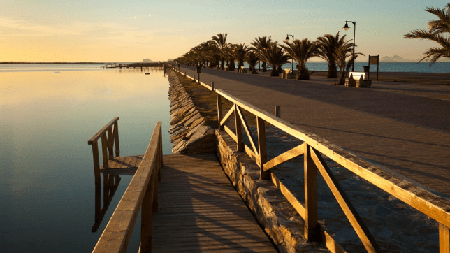 planes accesibles verano