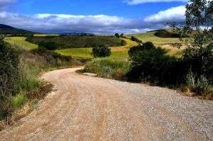 camino santiago silla ruedas